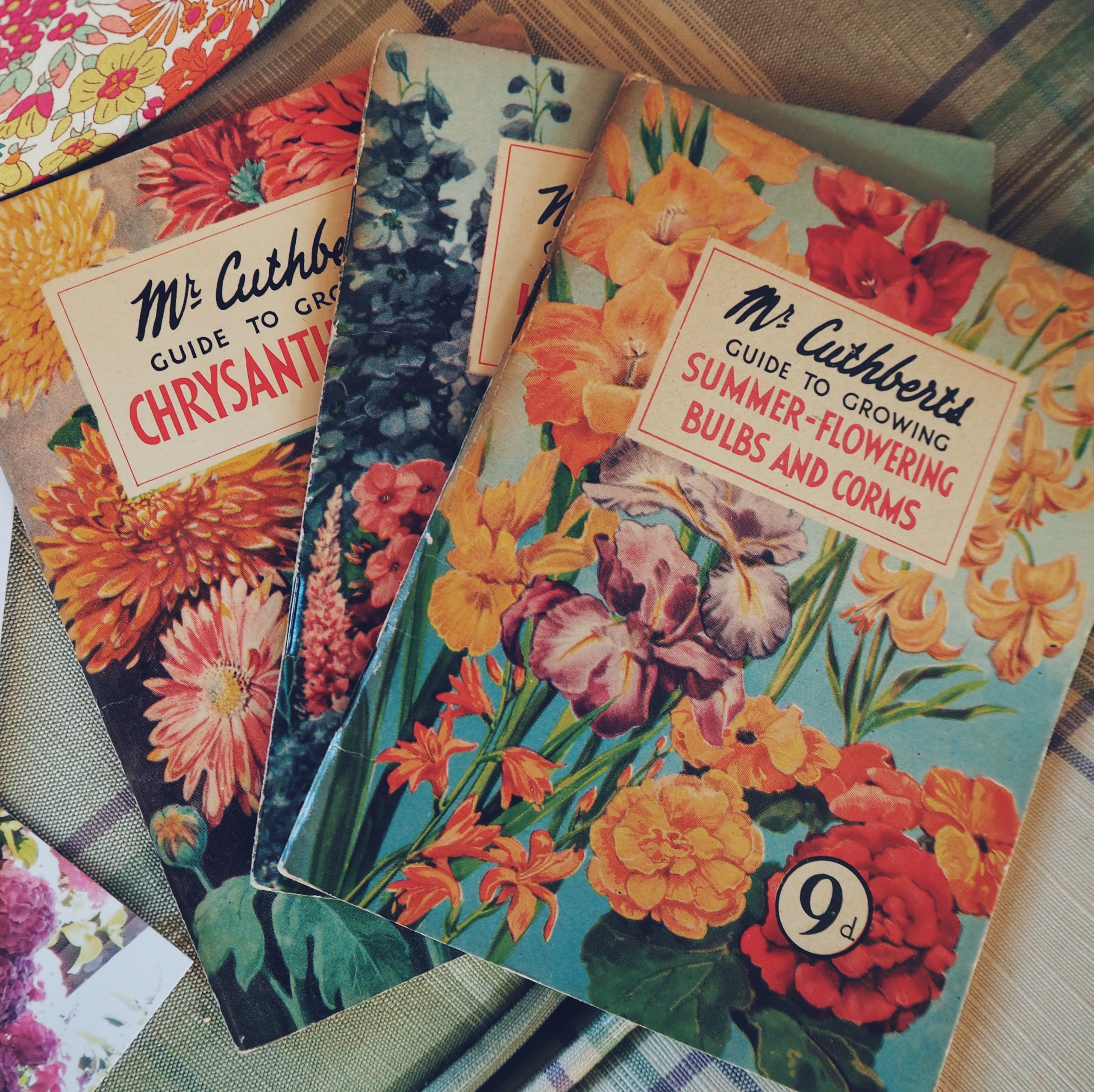 Spring seeds