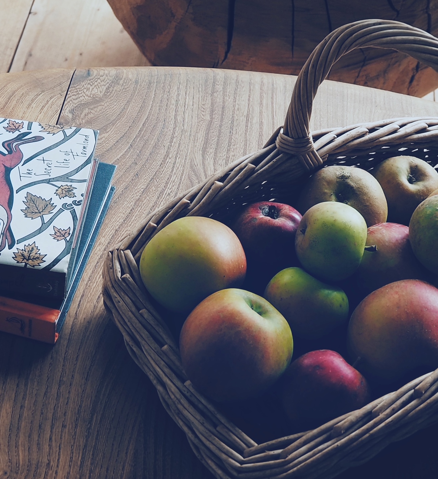 Apples in a trug